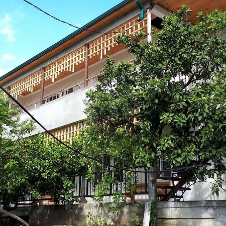 Inzhir Guest House New Athos 外观 照片