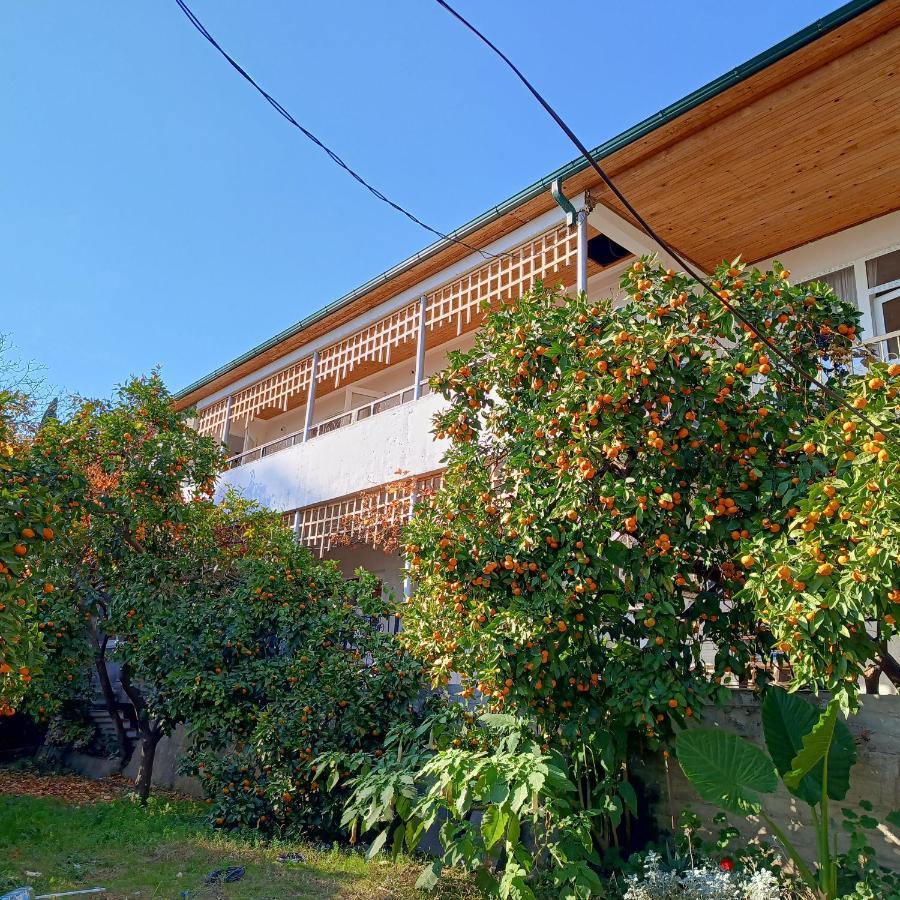 Inzhir Guest House New Athos 外观 照片
