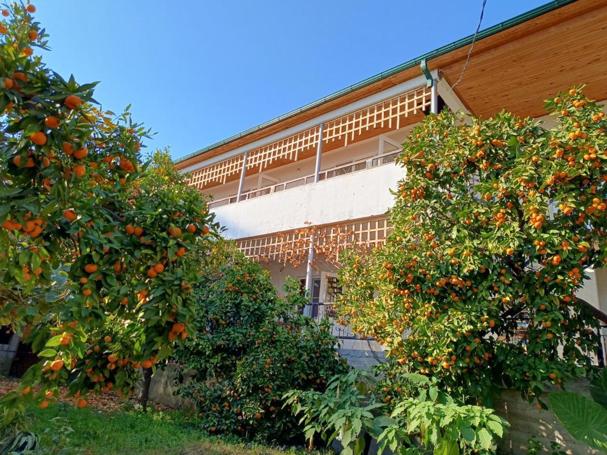 Inzhir Guest House New Athos 外观 照片
