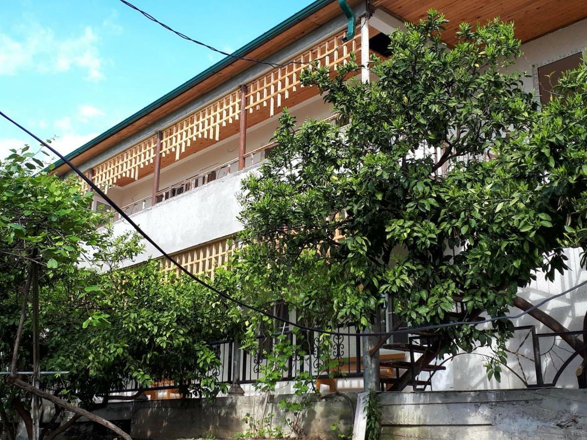 Inzhir Guest House New Athos 外观 照片