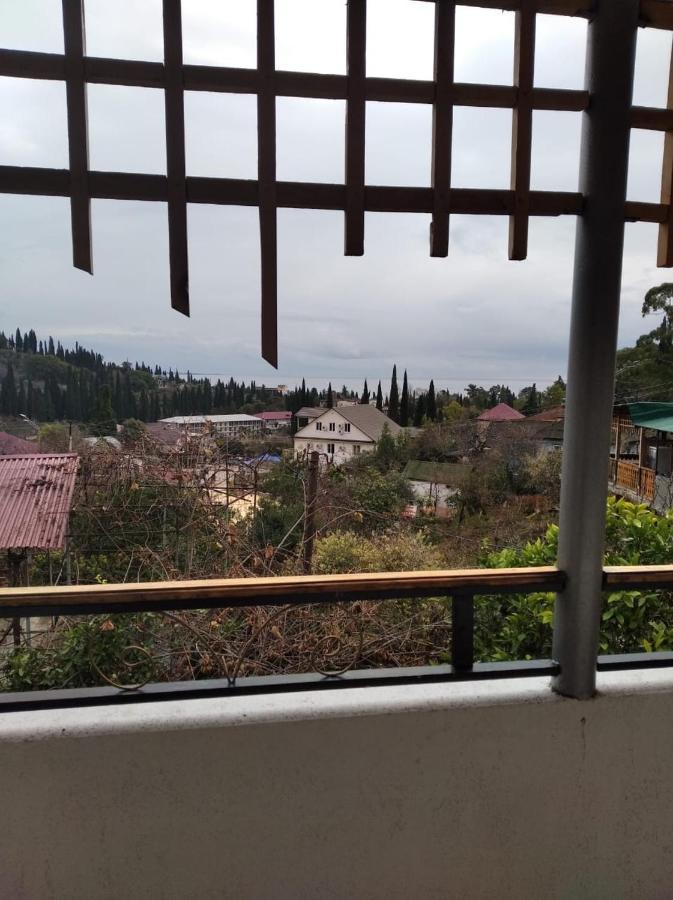 Inzhir Guest House New Athos 外观 照片